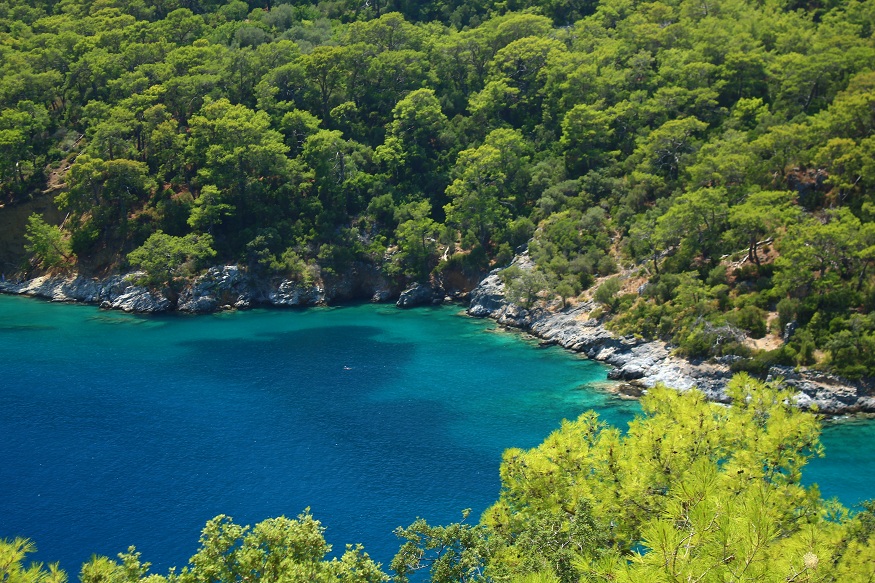 Ancient Civilizations from Your Private Deck